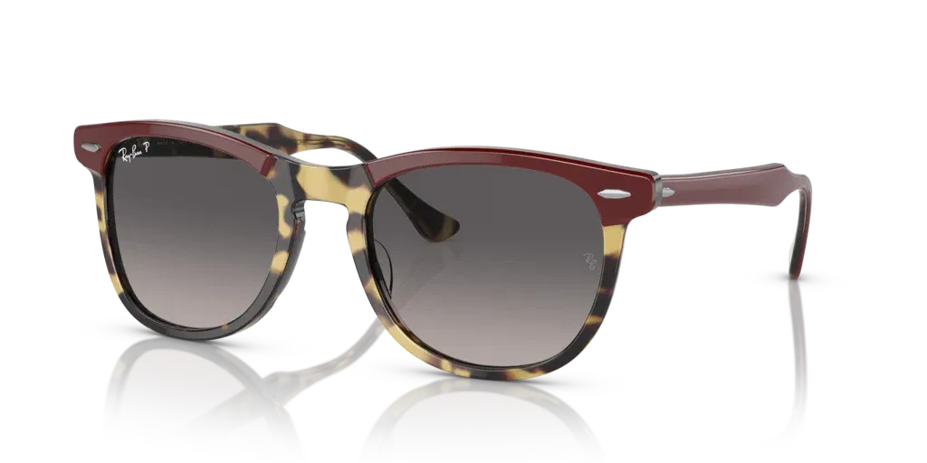 Ray-Ban RB 2398 1377/M3 53 Unisex Güneş Gözlüğü