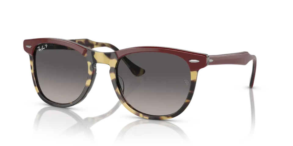 Ray-Ban RB 2398 1377/M3 53 Unisex Güneş Gözlüğü