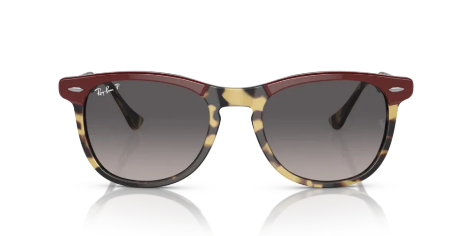 Ray-Ban RB 2398 1377/M3 53 Unisex Güneş Gözlüğü
