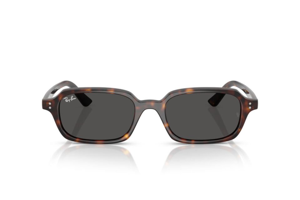 Ray-Ban RB 4455 135987 49 Unisex Güneş Gözlüğü