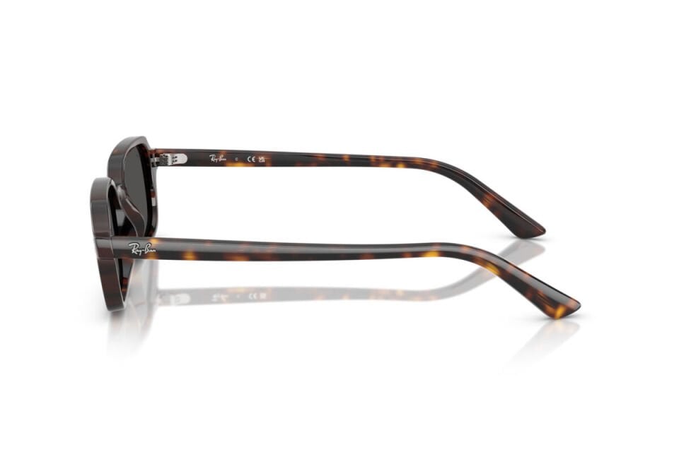 Ray-Ban RB 4455 135987 49 Unisex Güneş Gözlüğü
