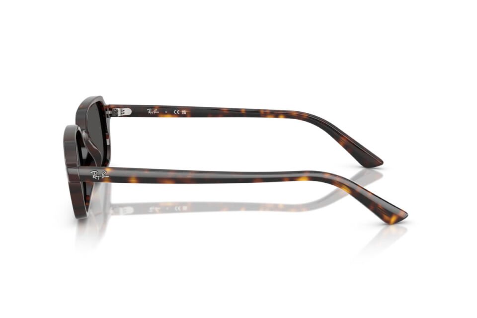 Ray-Ban RB 4455 135987 49 Unisex Güneş Gözlüğü
