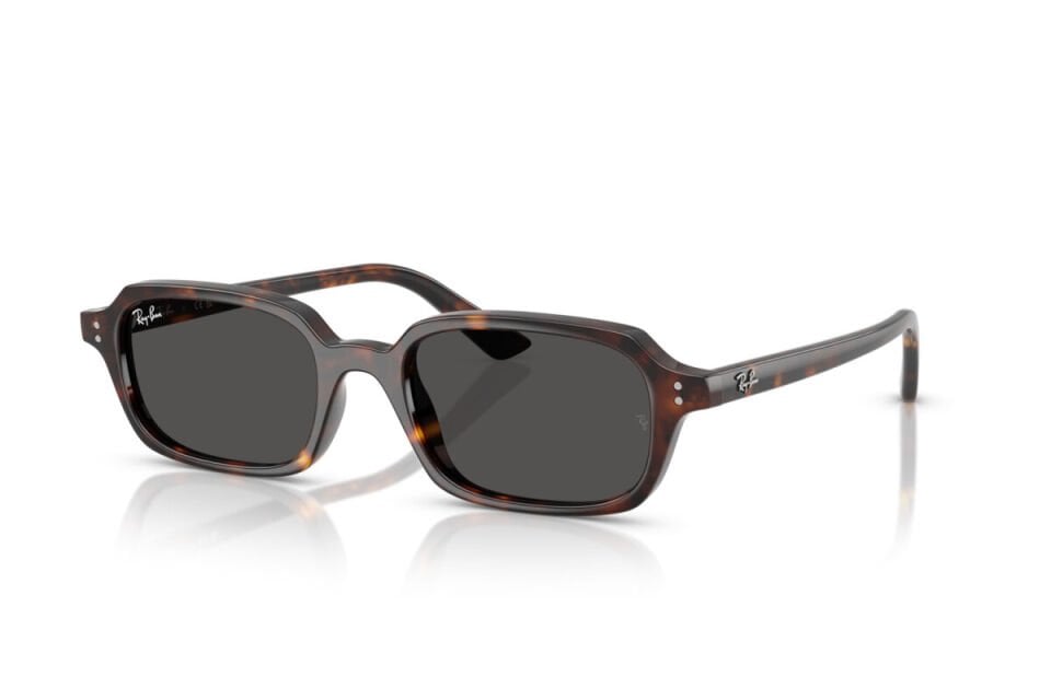 Ray-Ban RB 4455 135987 49 Unisex Güneş Gözlüğü