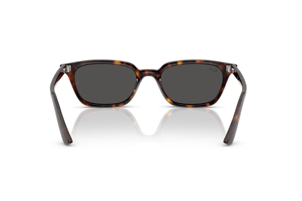 Ray-Ban RB 4456 135987 50 Unisex Güneş Gözlüğü