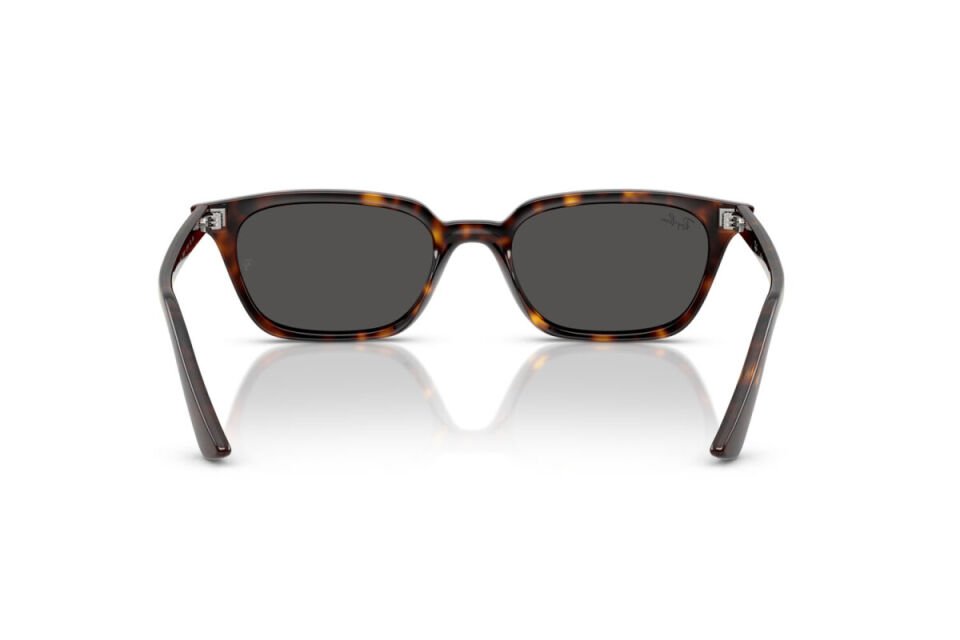 Ray-Ban RB 4456 135987 50 Unisex Güneş Gözlüğü