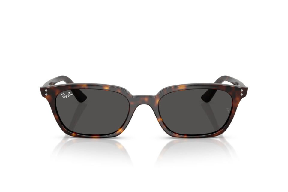 Ray-Ban RB 4456 135987 50 Unisex Güneş Gözlüğü