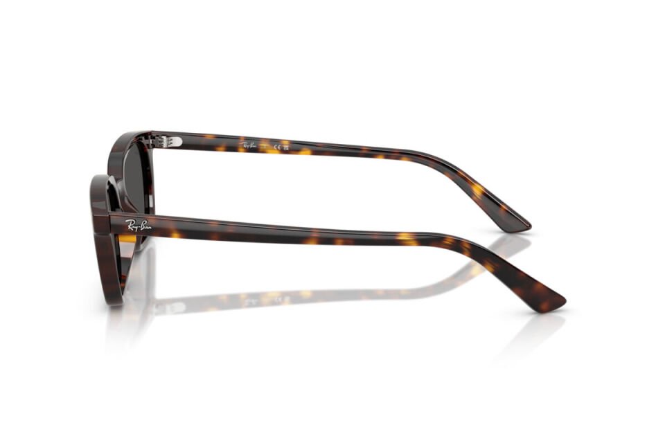 Ray-Ban RB 4456 135987 50 Unisex Güneş Gözlüğü