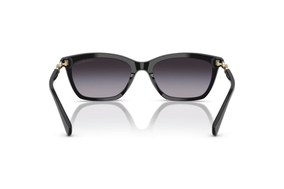 Emporio Armani EA 4238 50178G 54 Kadın Güneş Gözlüğü