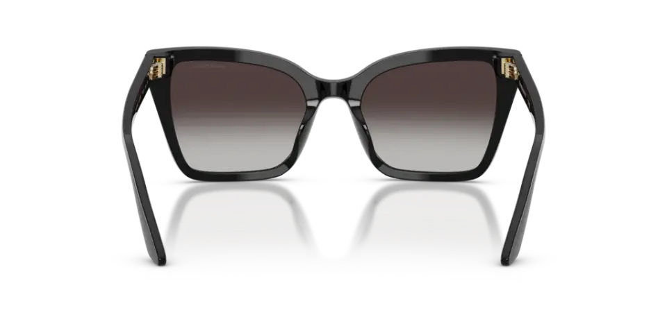 Emporio Armani EA 4237BU 50178G 53 Kadın Güneş Gözlüğü