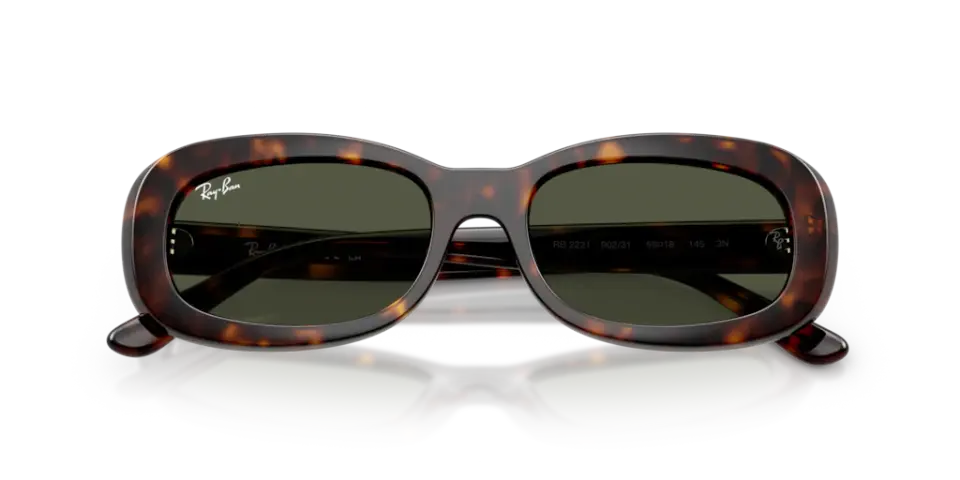 Ray-Ban RB 2221 902/31 53 Kadın Güneş Gözlüğü